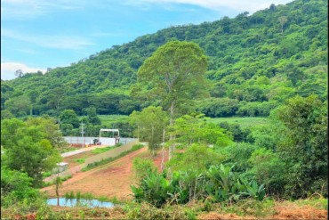 image 10 GPPL0065 Land for sale Pattaya 7 Rai
